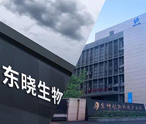 午夜视频在线免费观看 × 東曉生物 | 以科技助力農業價值升級