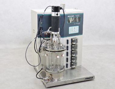 酶无码午夜福利