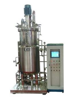 厭氧午夜精品电影