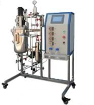 厭氧午夜精品电影