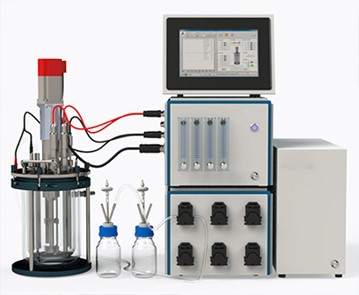 酶无码午夜福利