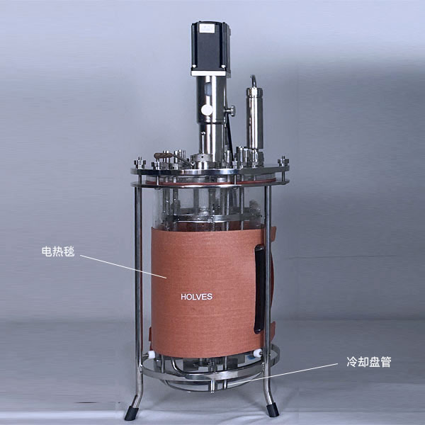 午夜视频在线免费观看（HOLVES）實驗午夜精品电影