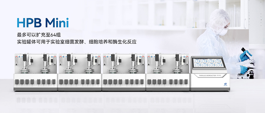 平行无码午夜福利