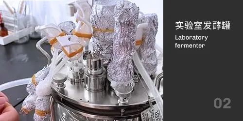 實驗室午夜精品电影滅菌